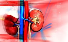 Durerea de rinichi: cum se manifesta ce ascunde?