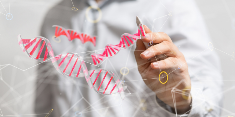 Acizii nucleici ADN și ARN – ce sunt și ce rol au
