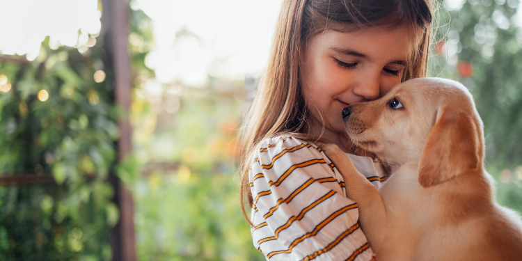 ce beneficii ofera un caine, caine in casa riscuri, boli transmise de caini, beneficii ale cainelui asupra sanatatii, anxietate, singuratate, 